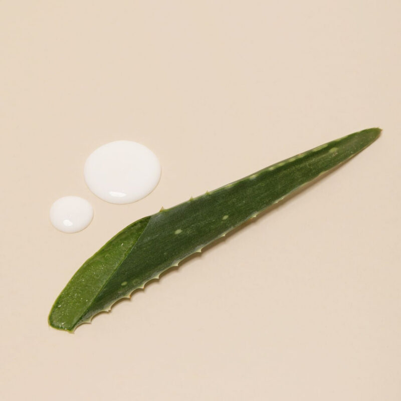 LCF_1847f0e0-e23d-476a-83f6-bf7372346375.jpg LCF_1847f0e0-e23d-476a-83f6-bf7372346375.jpg